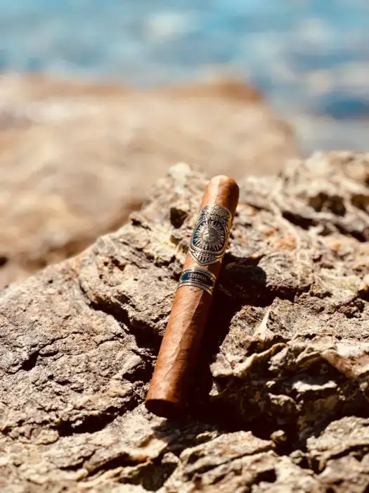 A Leyenda cigar standing upright, wedged into rocks by the sea